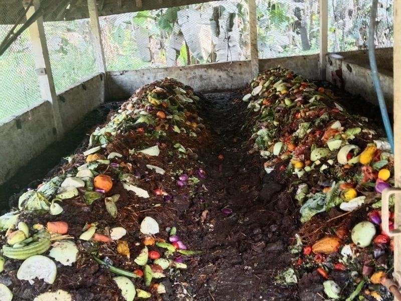 Raw material laid into the composting beds