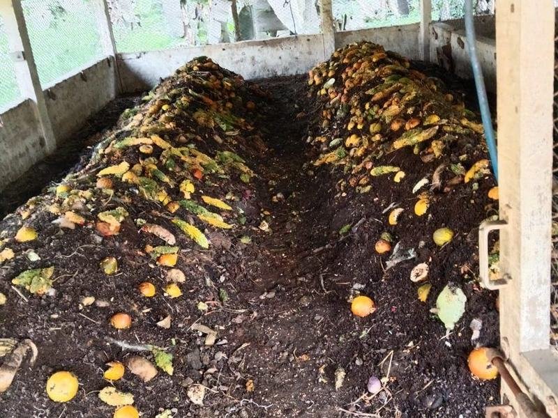 Composting windrows under cover at the Siddantham unit