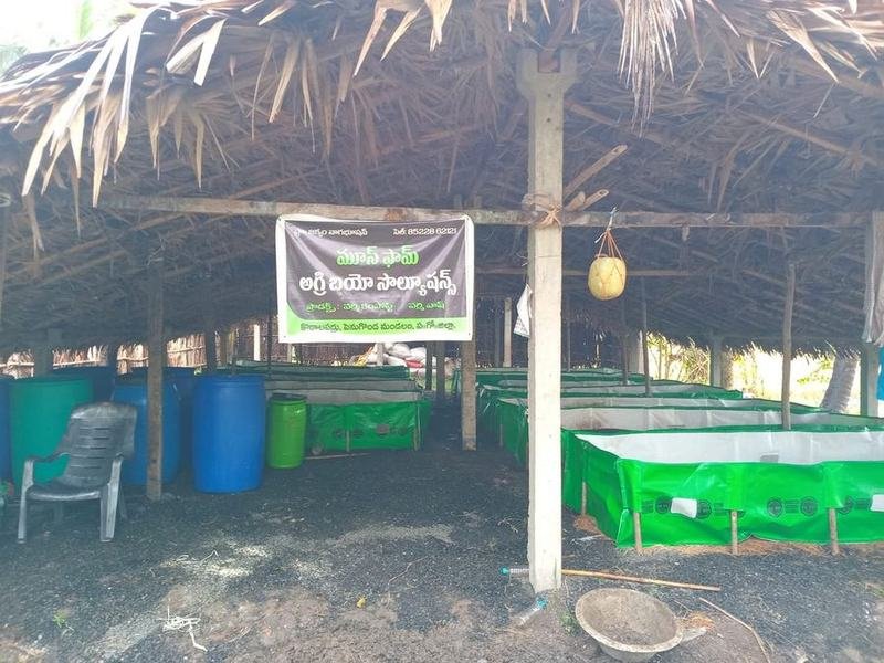 HDPE vermibeds under the palm-leaf shed at Kotalaparru